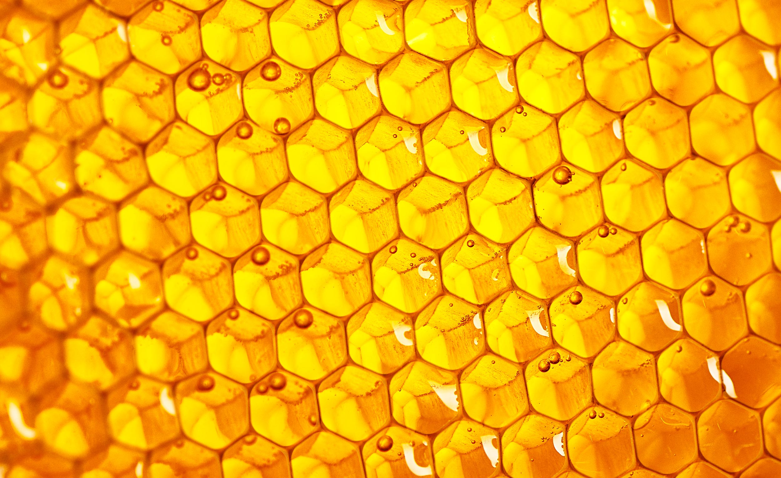 Macro Photography of honey Comb