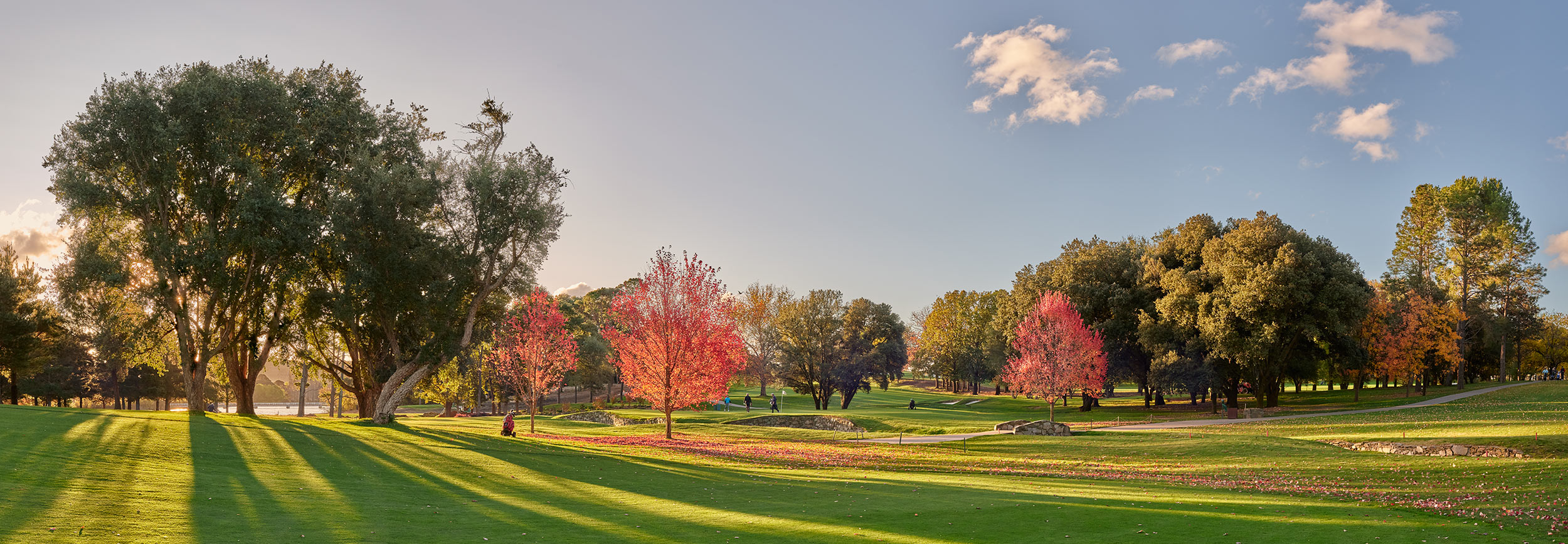 The Fairway