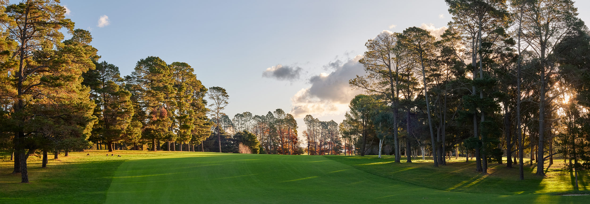 The Fairway